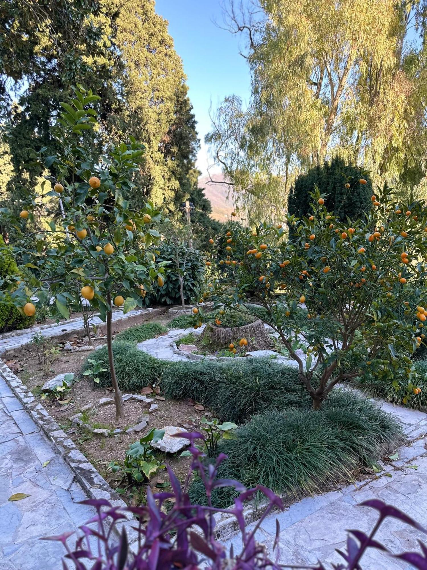 Studio Apartment Palma Herceg Novi Luaran gambar